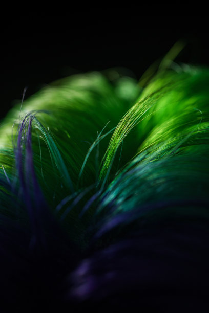 一个女孩的头发被染成明亮的颜色在黑色的背景上的特写图片下载