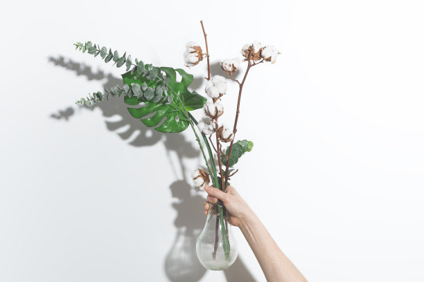 白色背景的玻璃花瓶中的干花和人造花图片下载