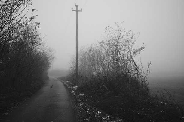 十一月在公园里图片下载