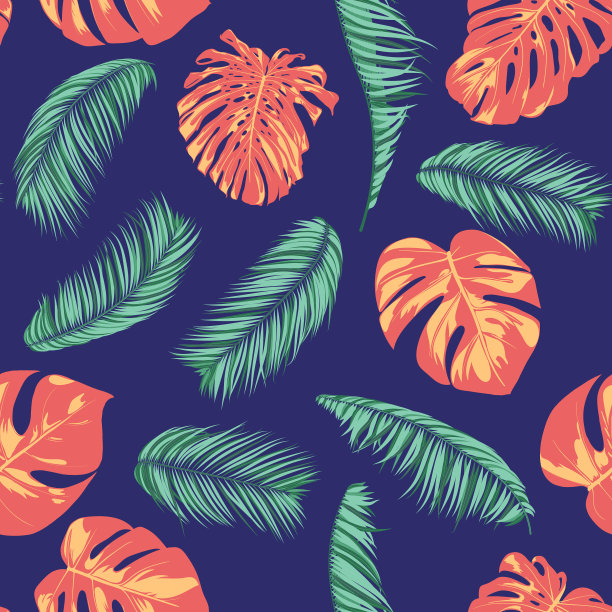 夏天异国情调的热带花卉棕榈philodendron图片下载