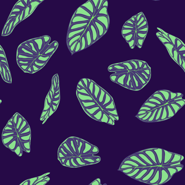 无缝热带背景叶洋芋图片下载