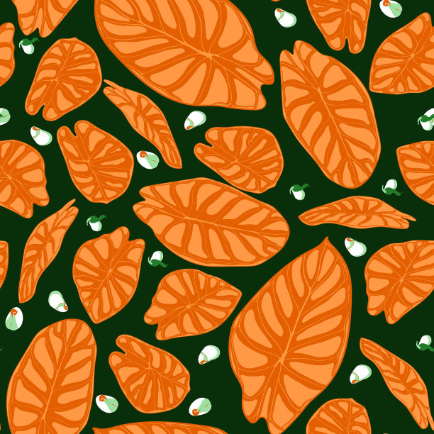 无缝热带背景叶洋芋图片下载