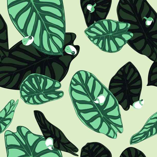 无缝热带模式时尚背景图片下载