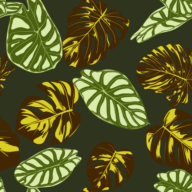 无缝的热带植物奇异图案图片下载