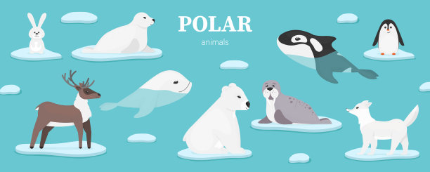 可爱的动物图片下载