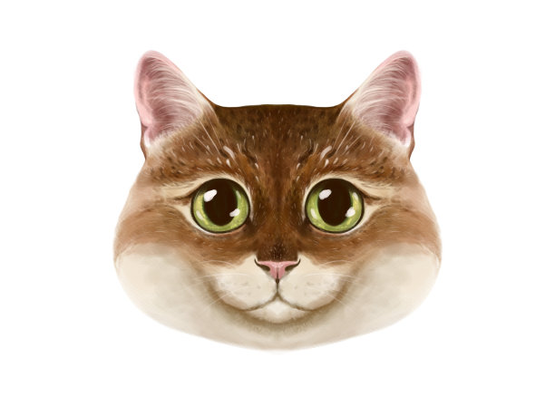 插图的一个可爱的猫与红色和米黄色的口吻。一只猫直视，详细的图画。宠物的头。图片下载