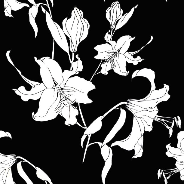 图案上白色百合枝上黑色无缝图案。图片下载