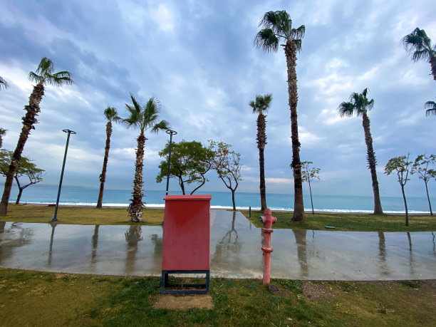 海滩上的照片。图片下载