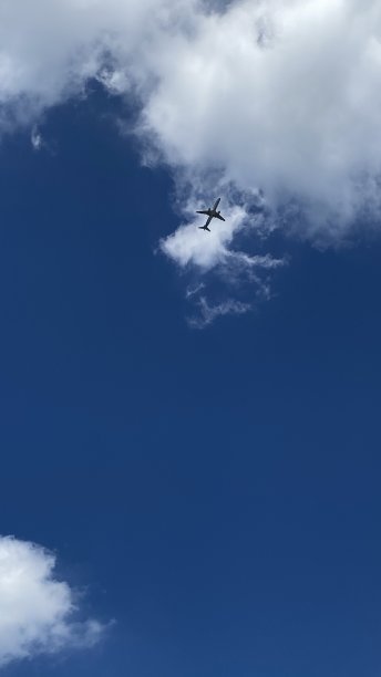 飞机在蓝天白云和阳光中飞行图片下载