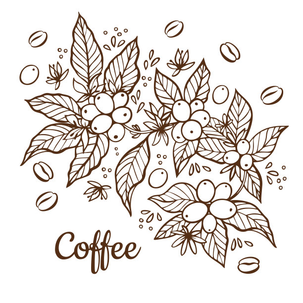 横幅模板与分支咖啡树图片下载