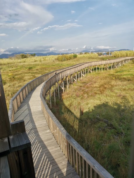 桥自由图片下载