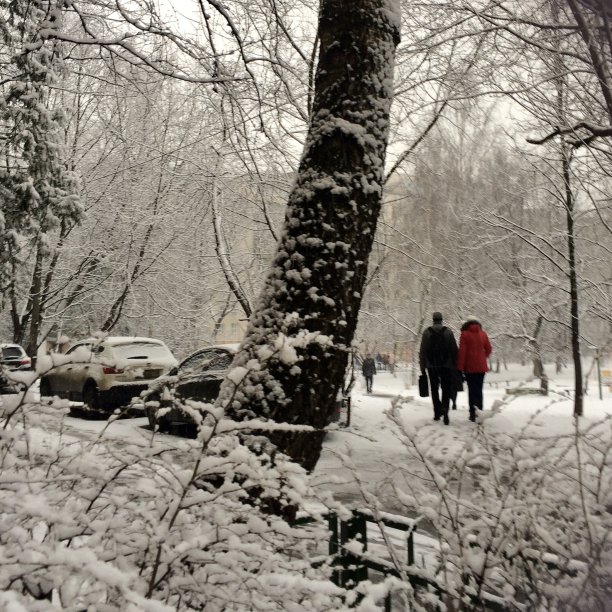 寒冷的下雪天在城市图片下载