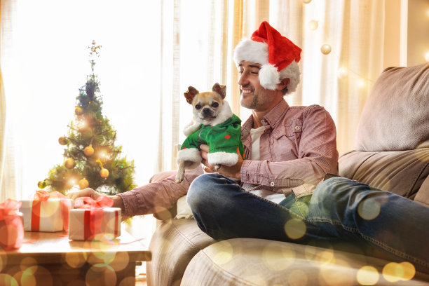 男人躺在沙发上，狗穿着圣诞服装图片下载
