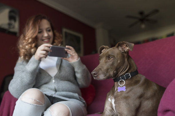 一位妇女在自家的沙发上给她的狗狗拍了一张充满爱意的照片图片下载