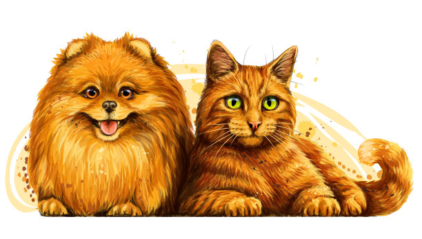 猫和狗图片下载