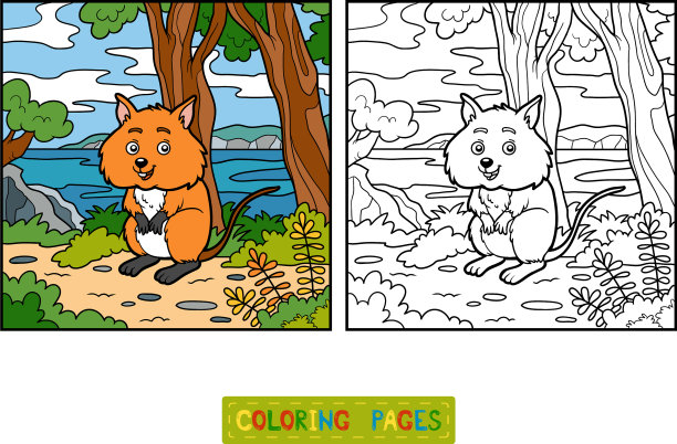 彩色书短尾矮袋鼠图片下载