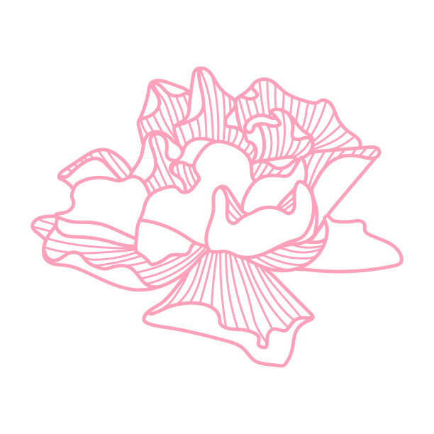 精致的玫瑰插图。图片下载