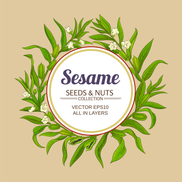 芝麻矢量框架图片下载