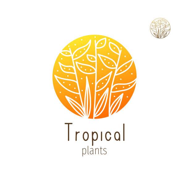 热带花卉草本图片下载