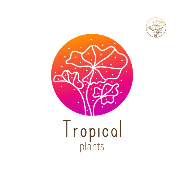 热带花卉草本图片下载