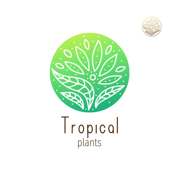 热带花卉草本图片下载