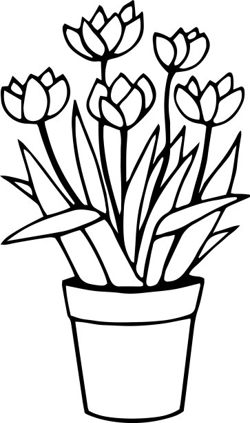 单元素的花图片下载