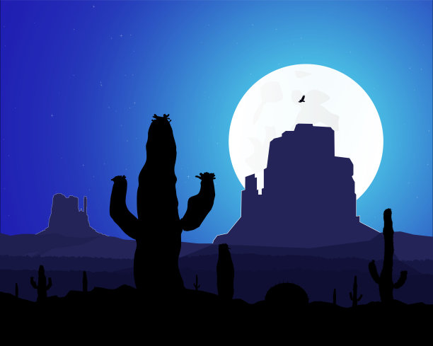 仙人掌和西部的岩石图片下载