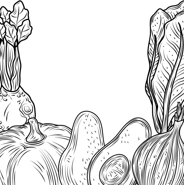 蔬菜新鲜有机食品南瓜、牛油果、甜菜、洋葱、生菜，手绘风格图片下载