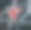 立冬照片素材ID：388463214
