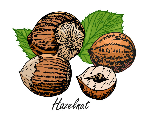 榛子手设置榛子图标图片下载