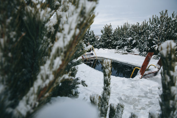 沐浴在雪树中等待假期的冬洗礼盆图片下载