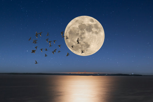 满月之夜和冲绳的大海图片下载