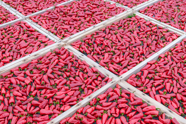 Espelette辣椒干图片下载