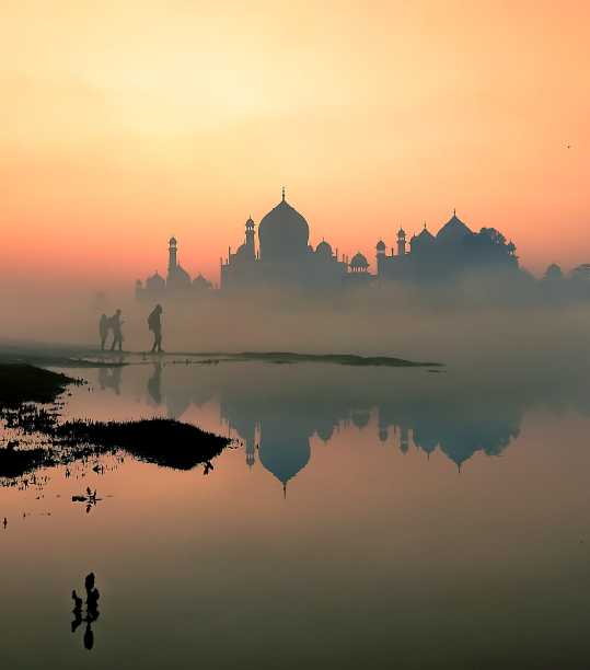 瓦杰泰姬图片下载