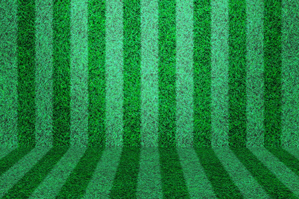 绿色草坪墙和地板与线条设计图片下载