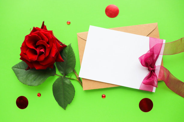 红色玫瑰孤立在白色背景和文字空间图片下载