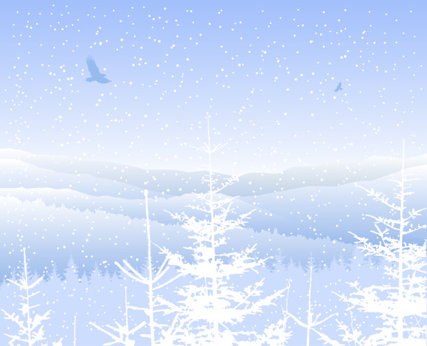 景观。冬天。图片下载