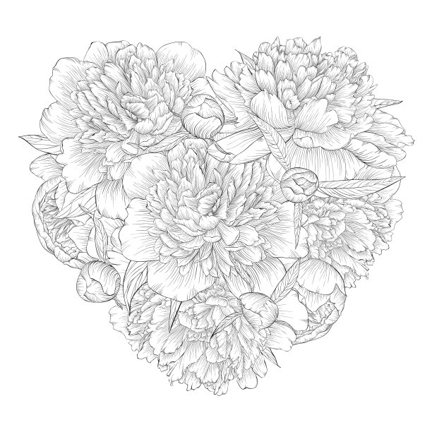 美丽的黑白心图片下载