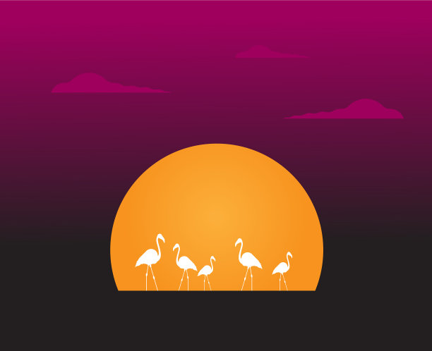 平的火烈鸟鸟图片下载