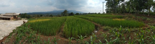 自然免费本地图片下载