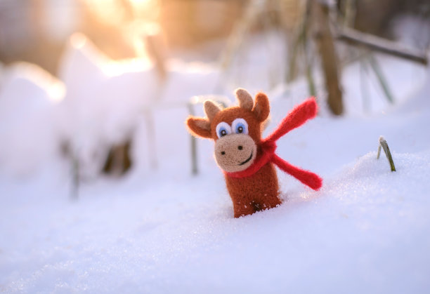 在一个阳光明媚的冬日里，在雪地里摸着玩具公牛图片下载