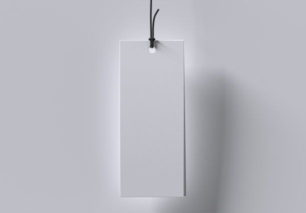 矩形吊牌服装标签模型。3D渲染。图片下载