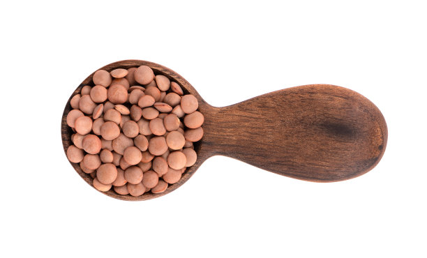木勺里的棕色小扁豆，孤立在白色背景上。前视图。图片下载