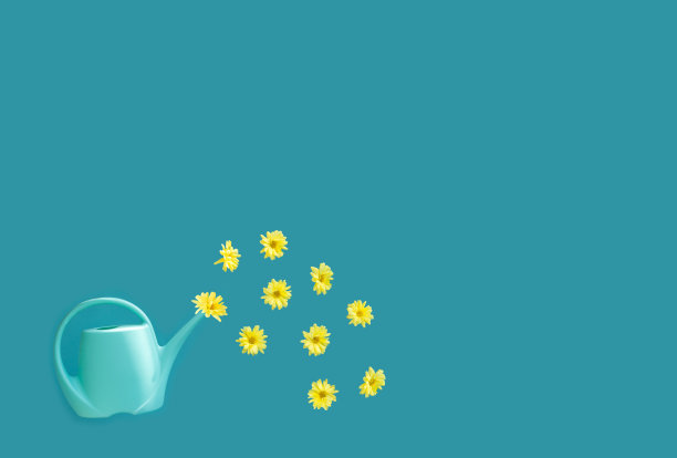 黄色的花从一个蓝色的喷壶里倒出来。蓝色背景上的蓝色喷壶。春季和夏季概念。图片下载