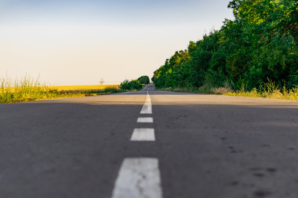 铺在绿树和植被之间的路。象征着一段通往远方的旅程，从下方的近景。地面上的灰色混凝土路面图片下载