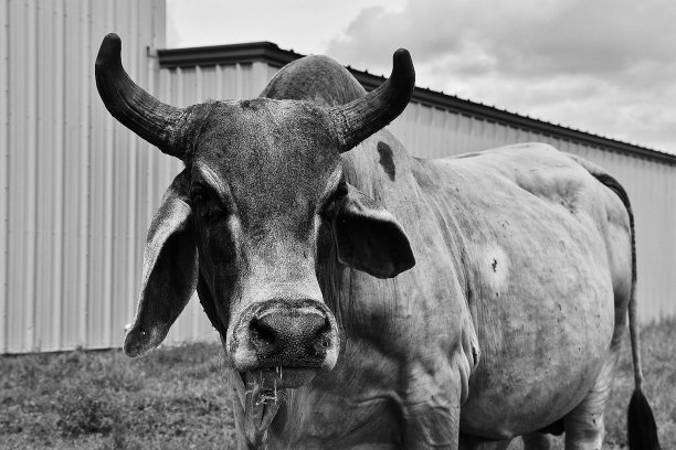梵天戏剧图片下载
