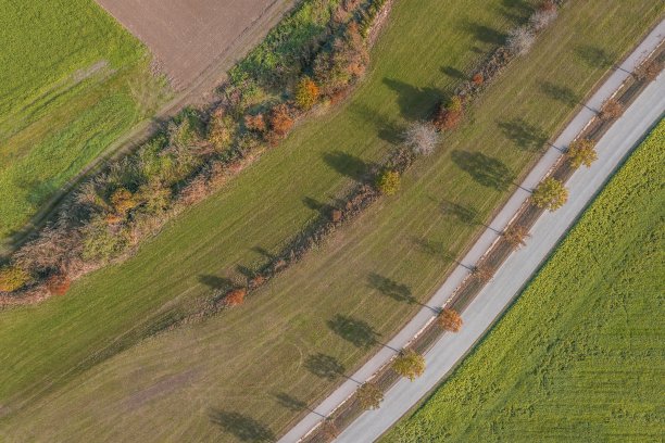 图片的风景在巴伐利亚与街道，道路，树木，灌木丛，草地田野，德国图片下载