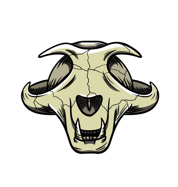 卡通猫颅骨分离图片下载