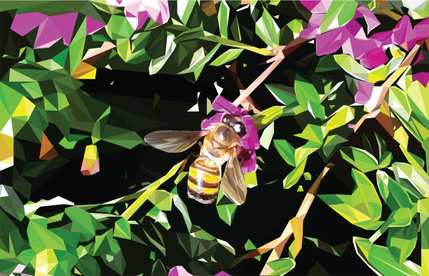 几何蜜蜂图片下载