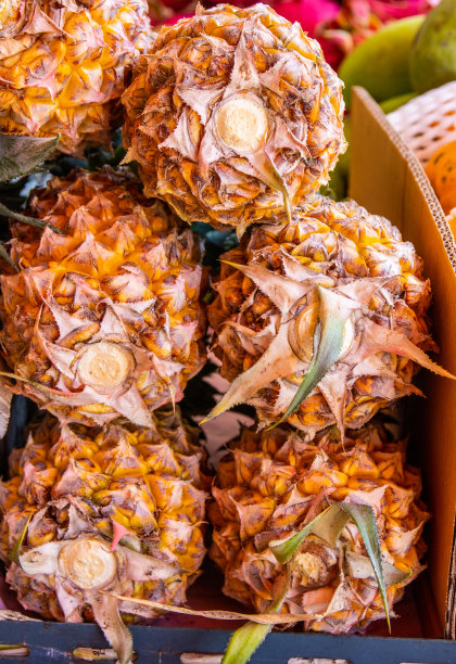 泰国芭堤雅春武里区出售菠萝图片下载